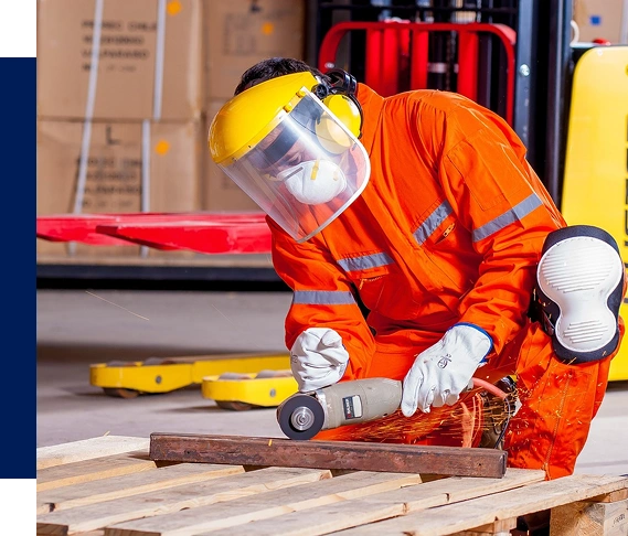 Skilled Professionals